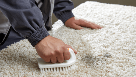 Professional Rug Cleaning Somers